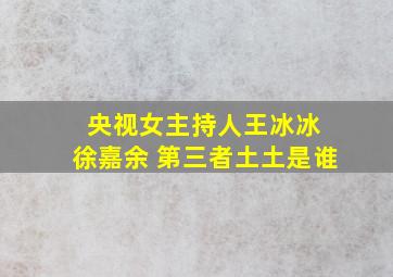 央视女主持人王冰冰 徐嘉余 第三者土土是谁